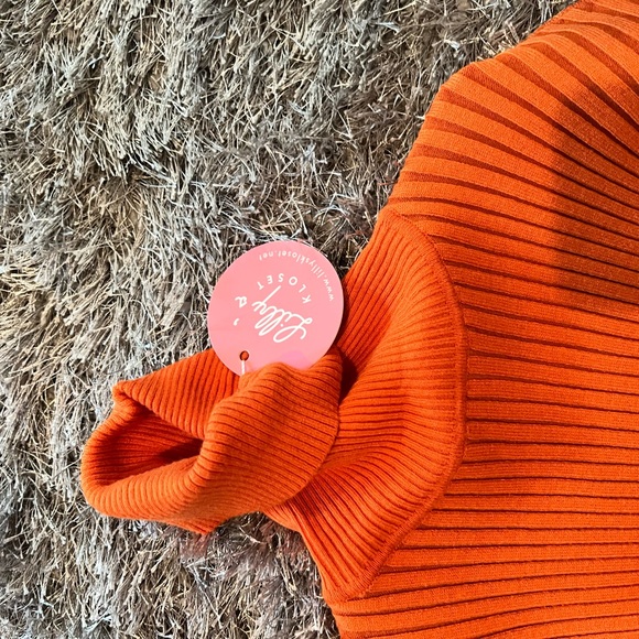 Lilly’s Kloset Dresses Lilllys Kloset Fine Line High Neck Sweater